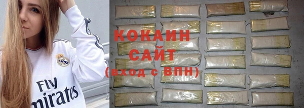 молекула духа Михайлов