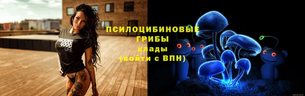 молекула духа Михайлов