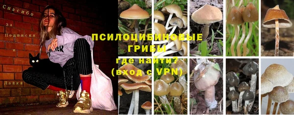 МДПВ Михайловск