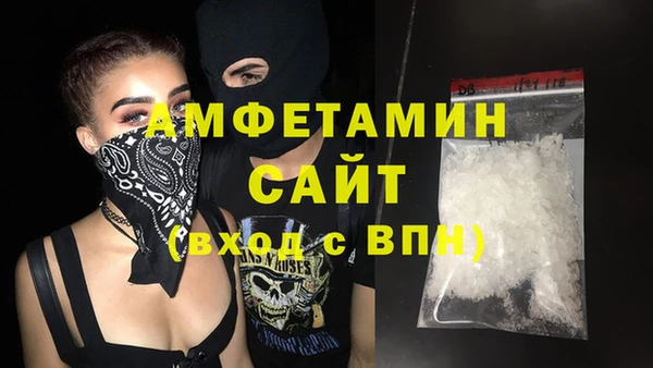 молекула духа Михайлов