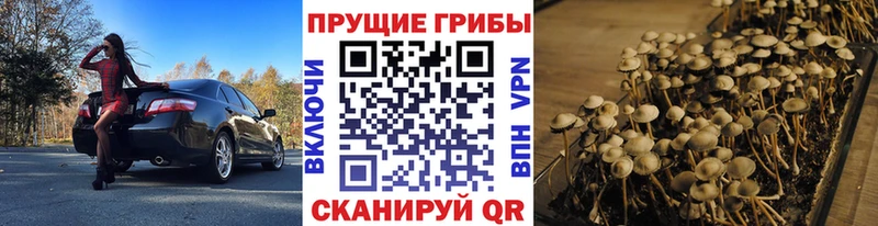 Псилоцибиновые грибы Magic Shrooms omg вход Нерехта